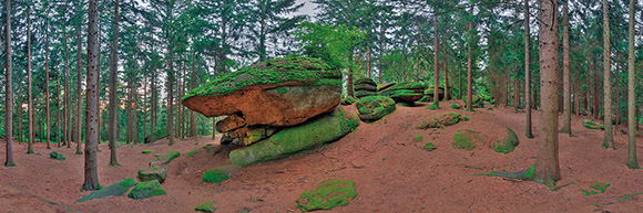 Felsformation im Wald, Leinwand auf Keilrahmen