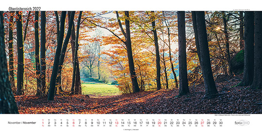 Wald im Naturpark Mhlviertel