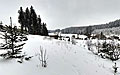 360° Foto Tanner Moor im Schnee