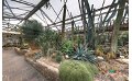 360° Foto Tropenhaus - Botanischer Garten