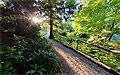 360° Foto Linzblick im Botanischen Garten