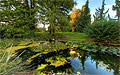 360° Foto Botanischer Garten Linz - Teichpflanzen