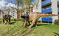 360° Foto World of Dinosaurs - IGUANODON, Parasaurolophus, Deinonychus