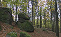 360° Foto Druidenweg , Felsen im Wald