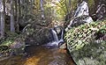 Druidenweg und Ysperklamm in Yspertal - kleiner Wasserfall - kleiner Wasserfall