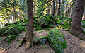 360° Foto Wald und Granitsteine am Lichtenberg