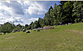360° Foto Naturpark Mühlviertel in Rechberg, Steinlehrpfad